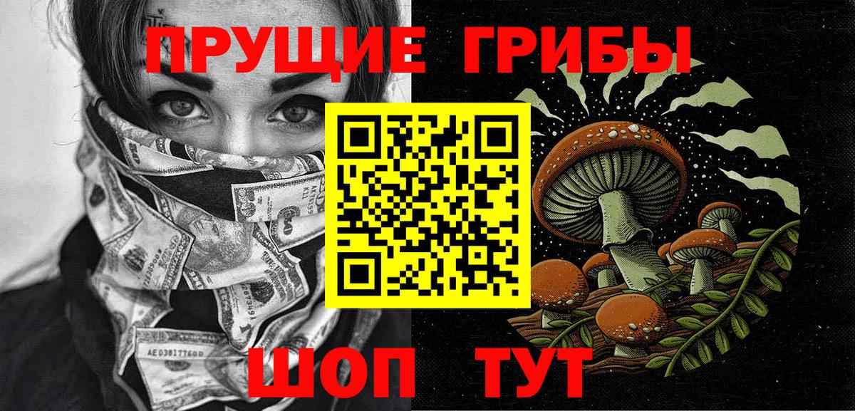 Псилоцибиновые грибы Psilocybine cubensis Куйбышев